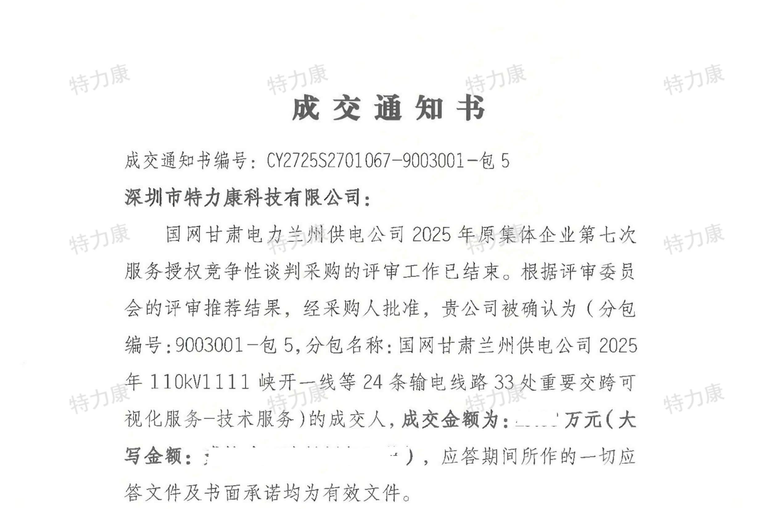 2025 年 110kV 峽開一線等 24 條輸電線路 33 處重要交跨可視化服務(wù)