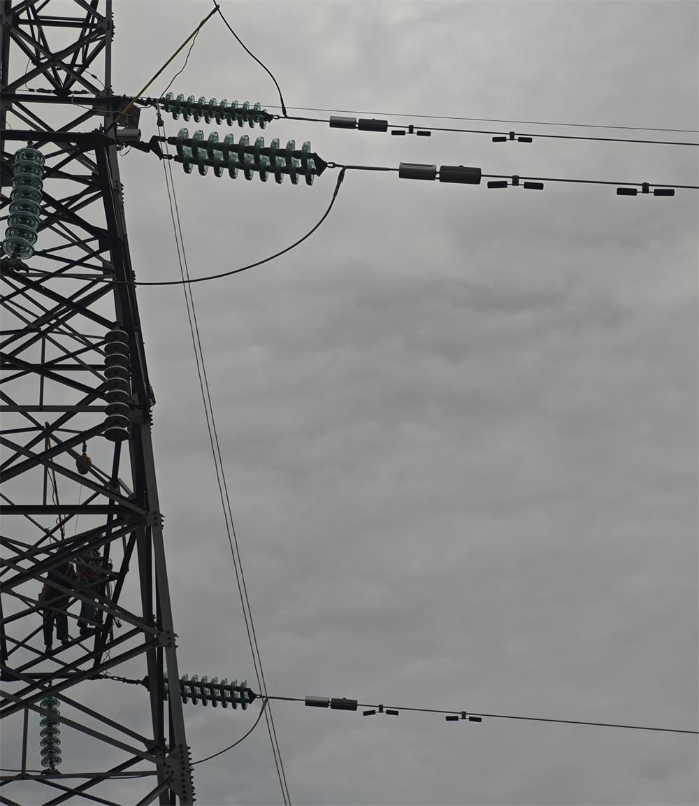 特力康線路故障隱患定位監(jiān)測(cè)系統(tǒng)，賦能江西電力運(yùn)維升級(jí)