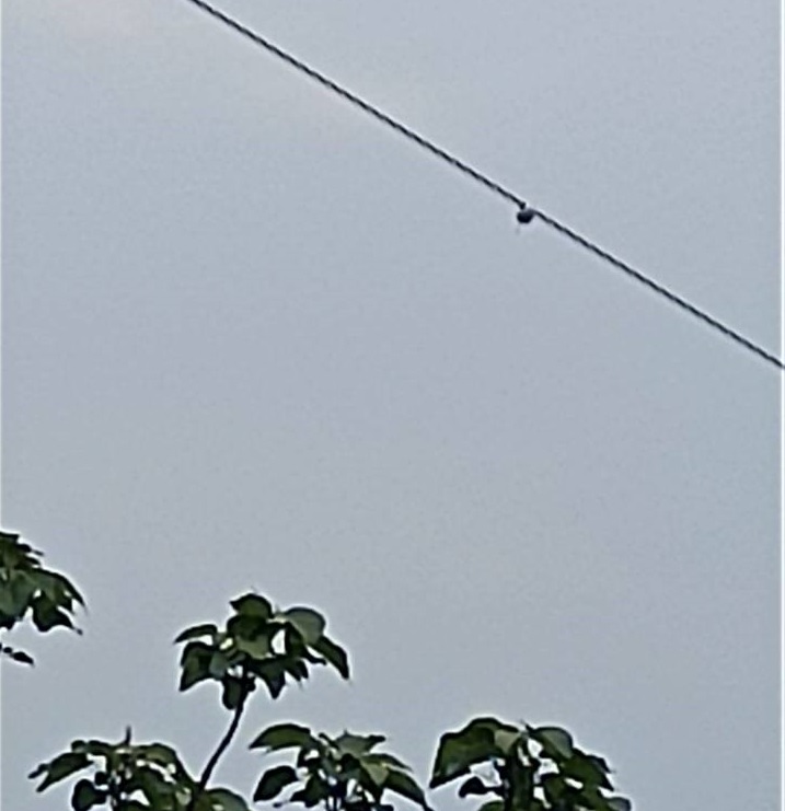 電網(wǎng)線路弧垂監(jiān)測裝置